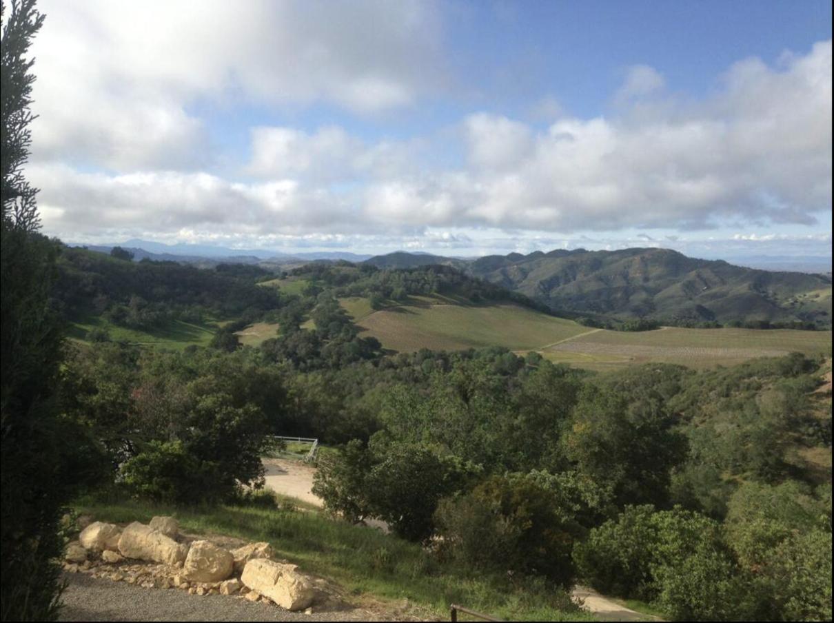 Lekai Ranch Forever Vineyard Views Adelaida Dış mekan fotoğraf